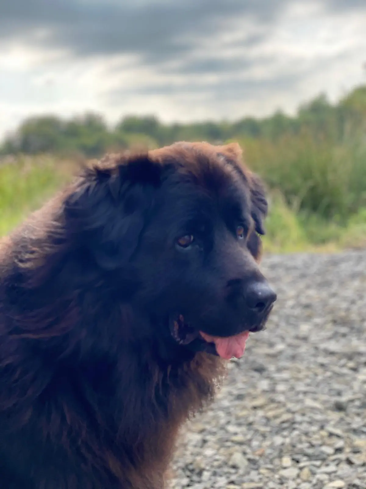 Rena, after whom Rena Interiors is named